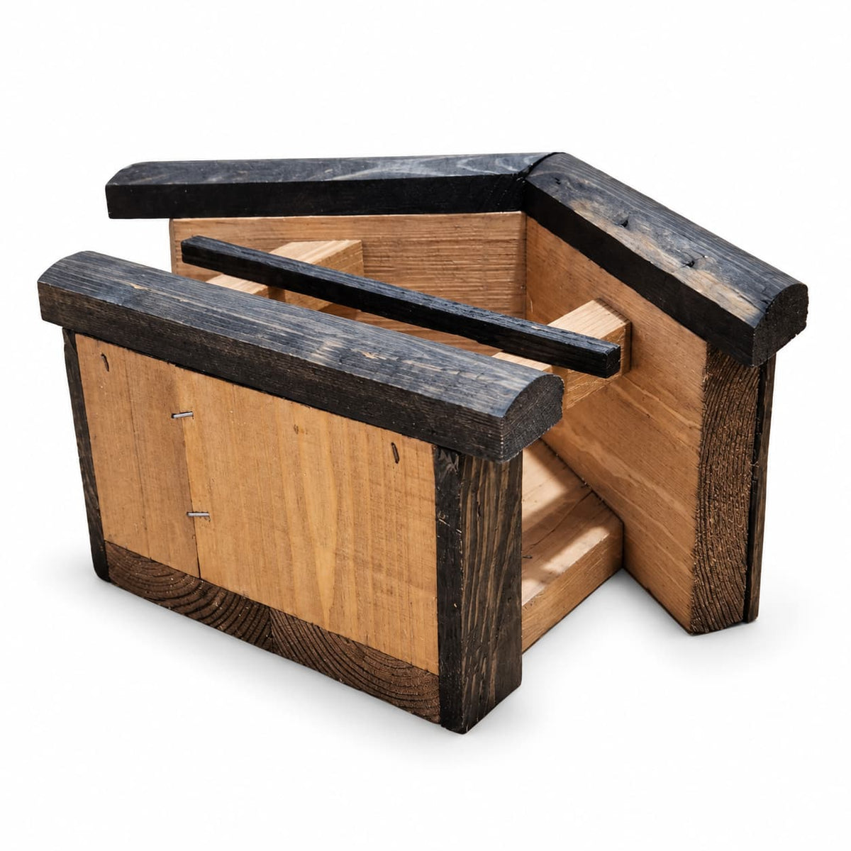 MINI PALISANDER - obraz 3