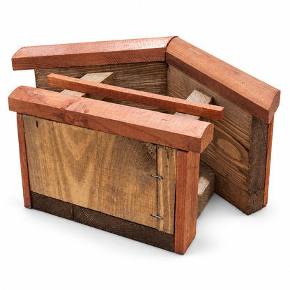 MINI TEAK - obraz 3