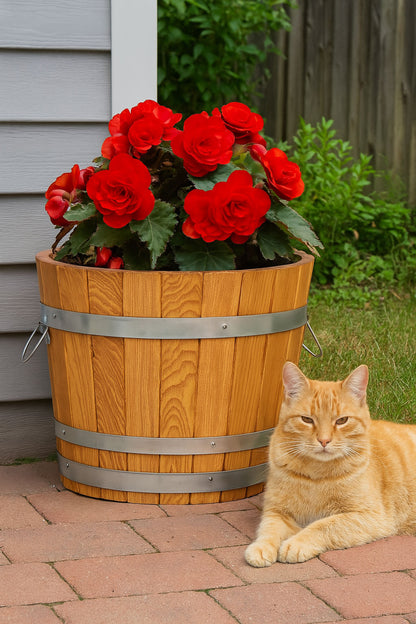 DONICZKA AKACJOWA SZEROKA DUŻA